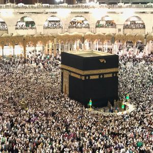 Meet your Posher, Adel